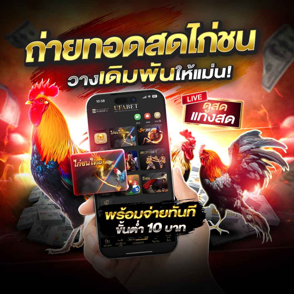 ถ่ายทอดสดไก่ชน