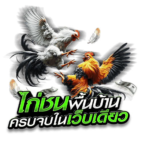 ถ่ายทอดสดไก่ชน