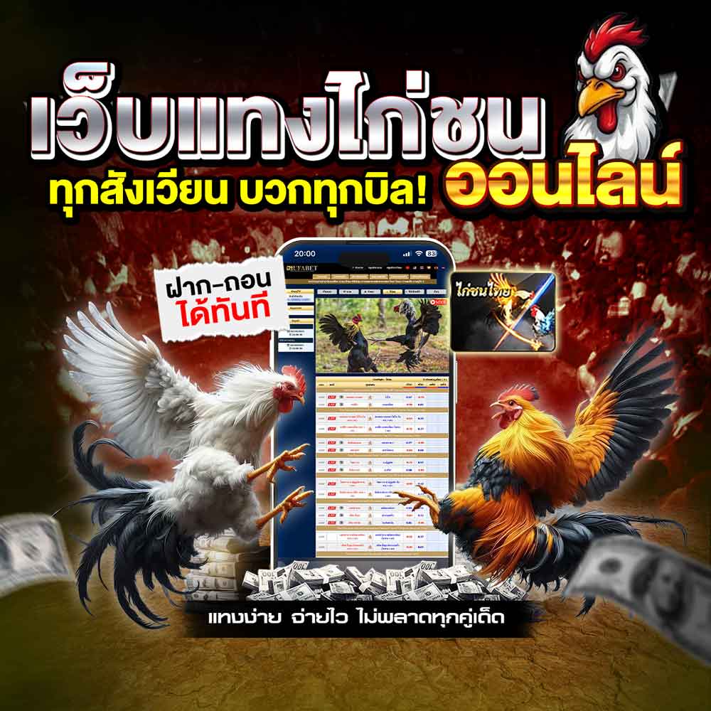 เว็บแทงไก่ชนออนไลน์