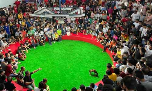 เว็บดูไก่ชนออนไลน์