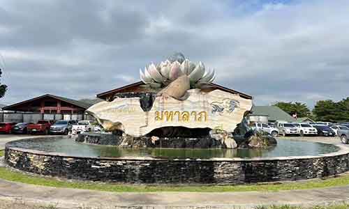 เว็บดูไก่ชนออนไลน์