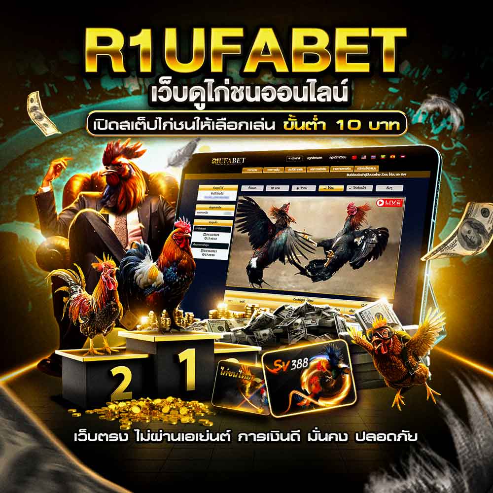 เว็บดูไก่ชนออนไลน์