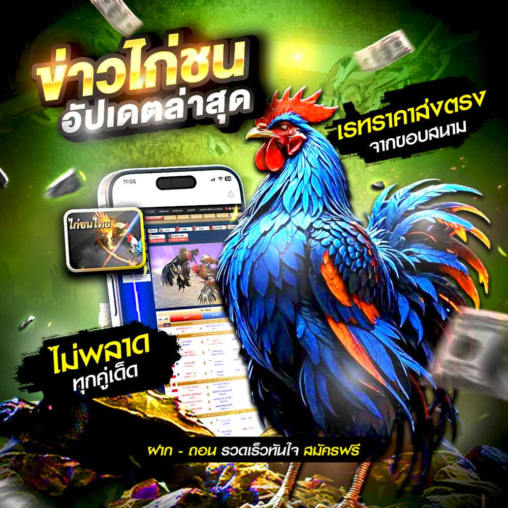 ข่าวไก่ชน