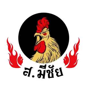 ข่าวไก่ชน